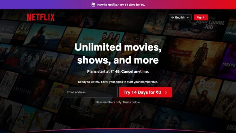 Netflix review image
