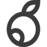 Bilberrry logo