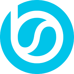 BizStream logo