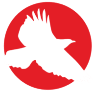 Red Hawk Technologies logo